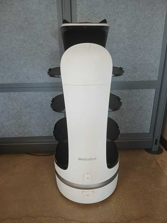 Pudu BellaBot - 8SV013228050003