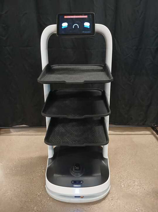 Pudu Pudubot 2 - 8170F407050009