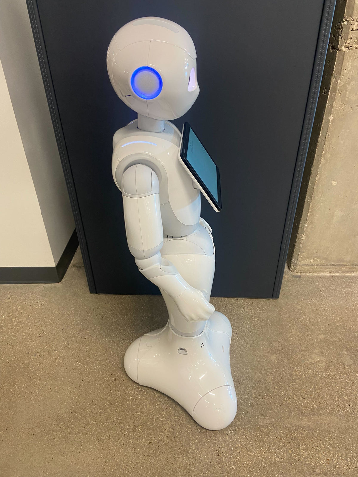 SoftBank Robotics Pepper - AP990438B00Y64100002 - product photo